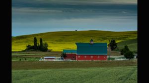 Palouse-17